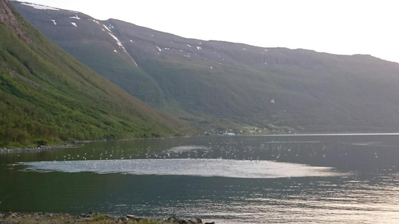 Basecamp Birtavarre Exterior photo